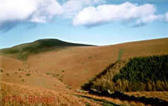 sugarloaf