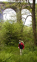 pontsarn viaduct