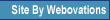 Web Developer